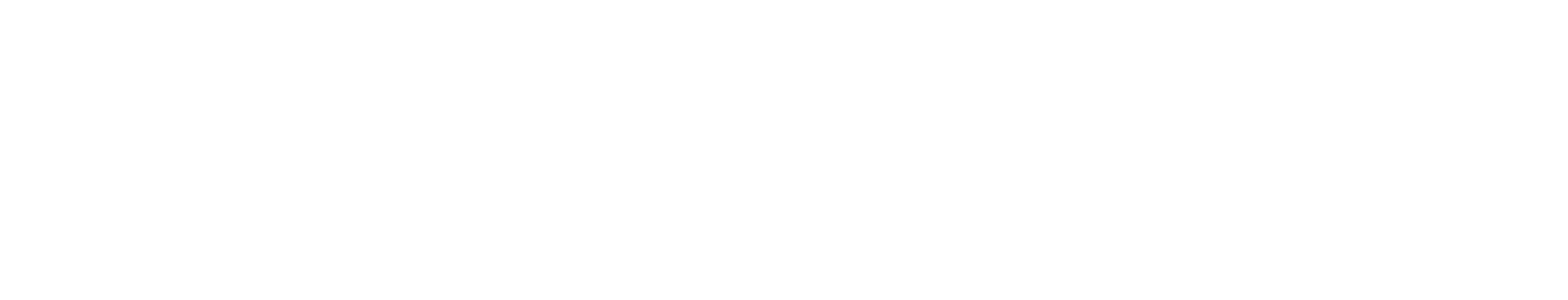 CPL_Logo - Solutions M