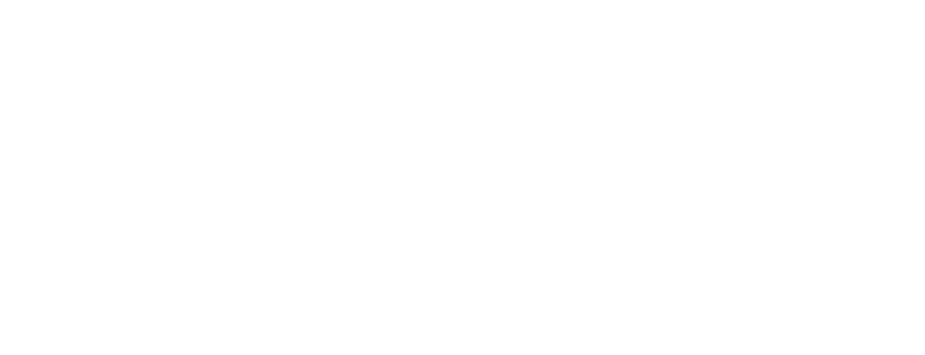 GF_Logo - Solutions M