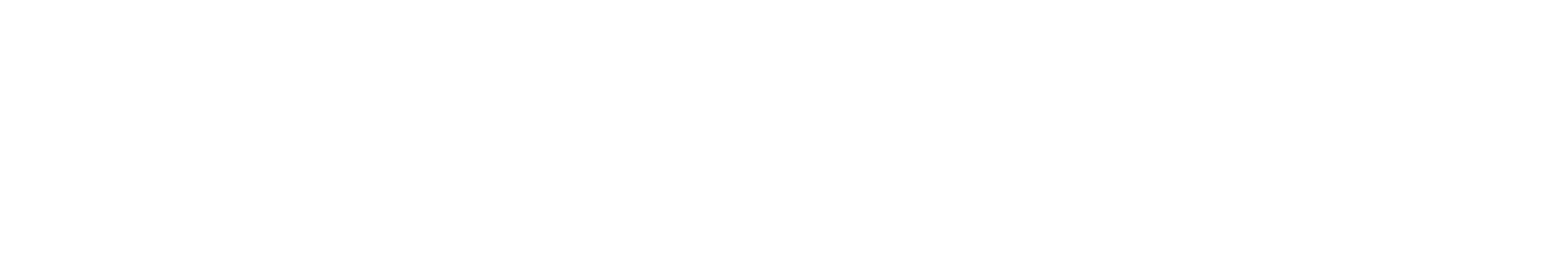 LB_Logo - Solutions M