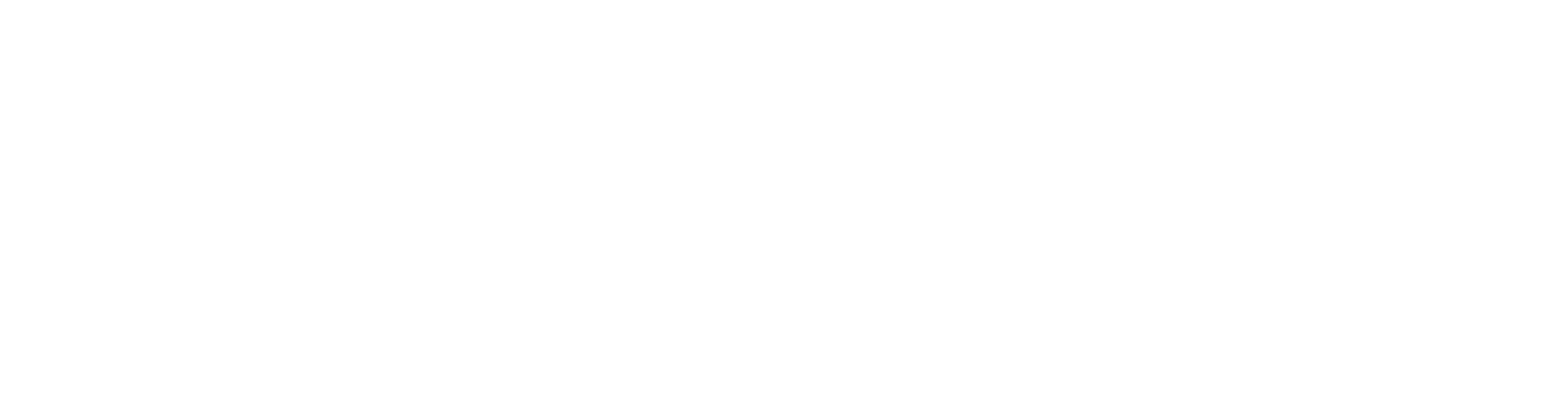 LÉ_Logo - Solutions M