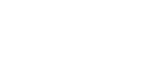 PPV_Logo - Solutions M