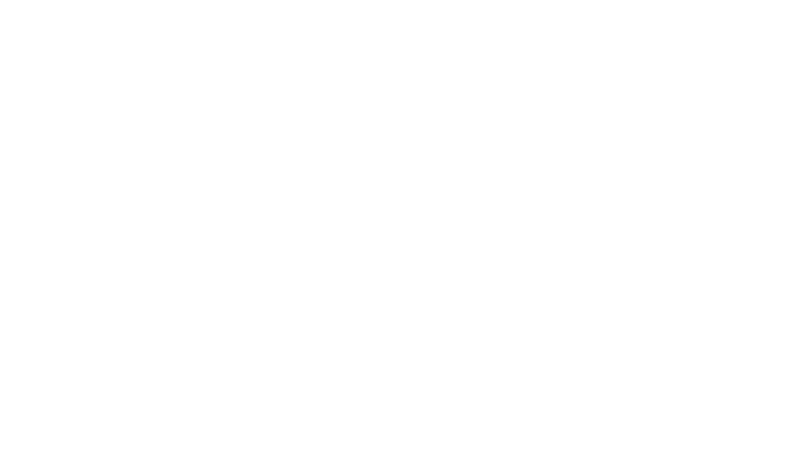 PPV_Logo - Solutions M