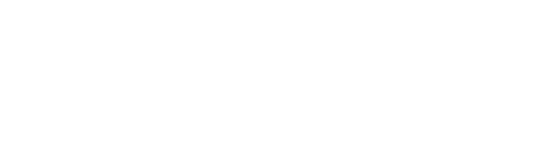 Pivot_Logo - Solutions M
