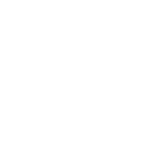 REMAX_Logo - Solutions M