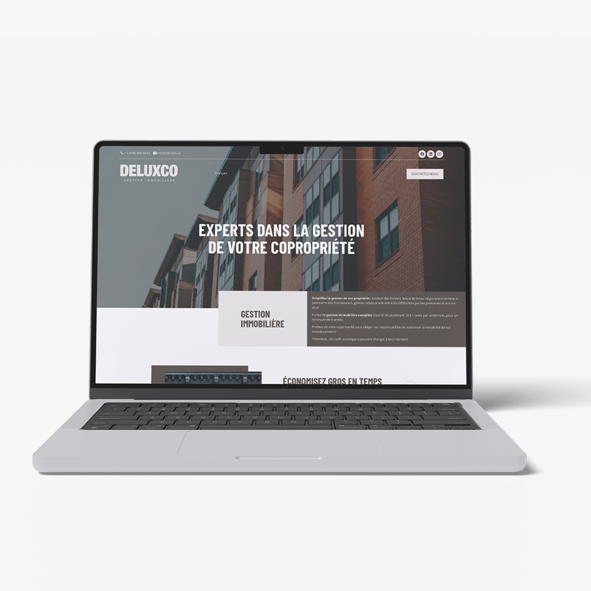 mockup site web deluxco