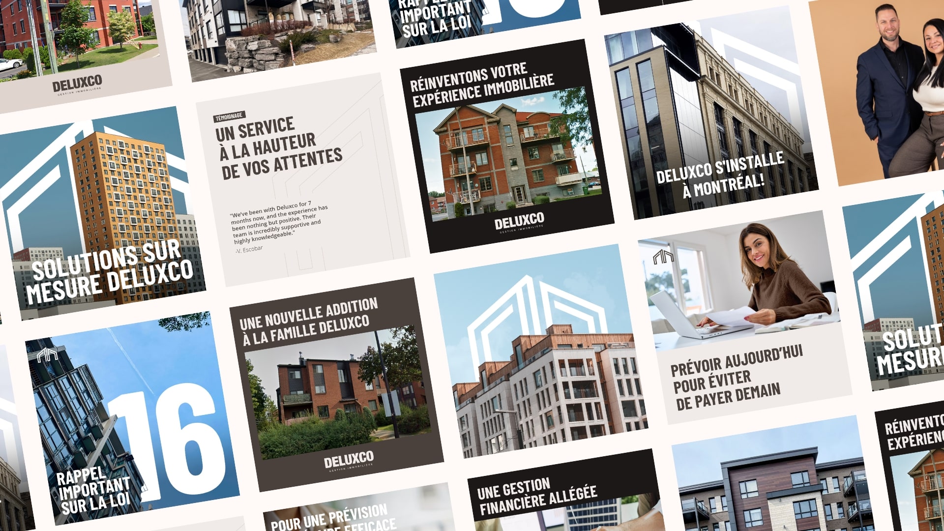 Étude de cas Deluxco stratégie marketing Solutions M projet web